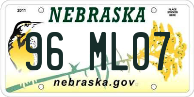 NE license plate 96ML07