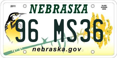 NE license plate 96MS36