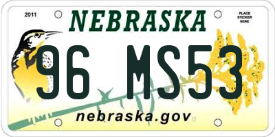 NE license plate 96MS53