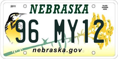 NE license plate 96MY12