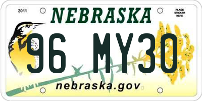 NE license plate 96MY30