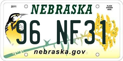 NE license plate 96NF31