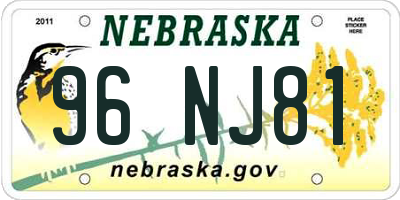 NE license plate 96NJ81