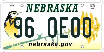 NE license plate 96OE00