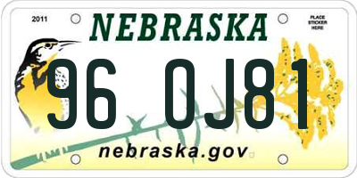 NE license plate 96OJ81