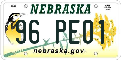 NE license plate 96PE01