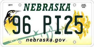 NE license plate 96PI25
