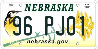 NE license plate 96PJ01