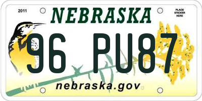NE license plate 96PU87