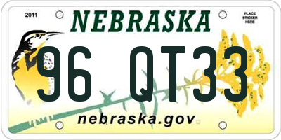 NE license plate 96QT33