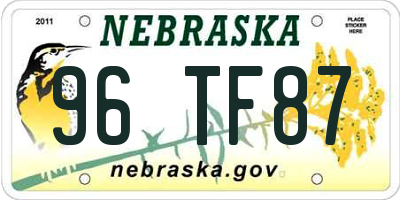 NE license plate 96TF87
