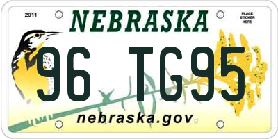 NE license plate 96TG95