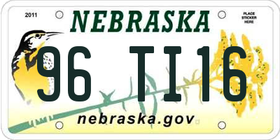 NE license plate 96TI16