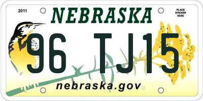 NE license plate 96TJ15