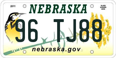 NE license plate 96TJ88