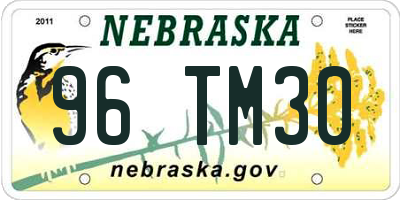 NE license plate 96TM30