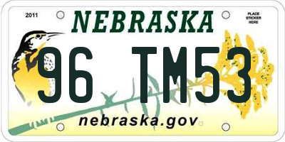 NE license plate 96TM53