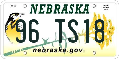 NE license plate 96TS18