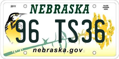 NE license plate 96TS36