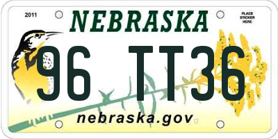 NE license plate 96TT36