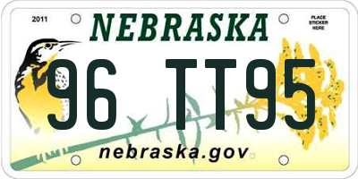 NE license plate 96TT95