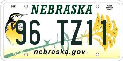 NE license plate 96TZ11