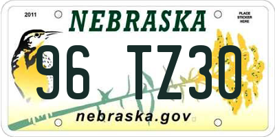 NE license plate 96TZ30