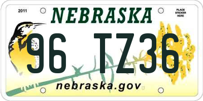 NE license plate 96TZ36
