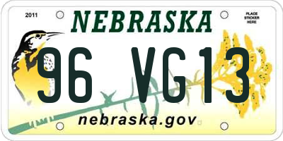 NE license plate 96VG13