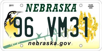 NE license plate 96VM31