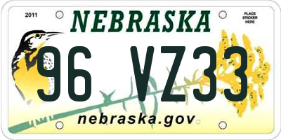 NE license plate 96VZ33