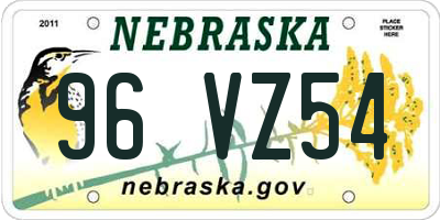NE license plate 96VZ54
