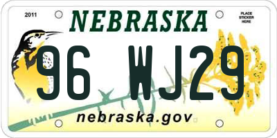 NE license plate 96WJ29