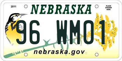 NE license plate 96WM01