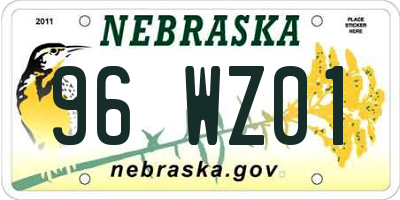 NE license plate 96WZ01