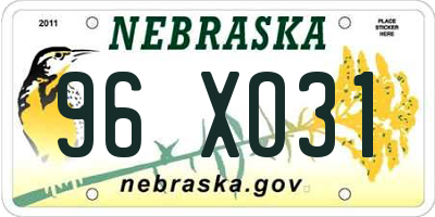 NE license plate 96XO31