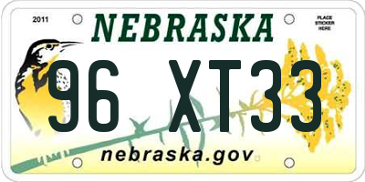 NE license plate 96XT33