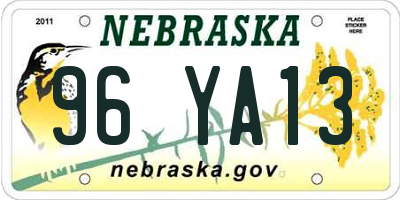 NE license plate 96YA13