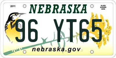 NE license plate 96YT65