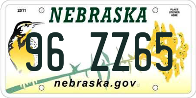 NE license plate 96ZZ65