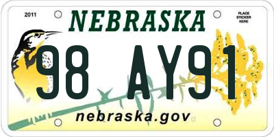 NE license plate 98AY91