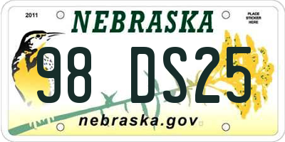 NE license plate 98DS25