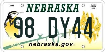 NE license plate 98DY44