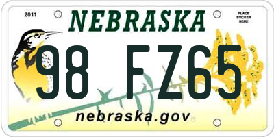 NE license plate 98FZ65