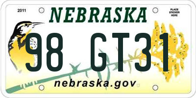 NE license plate 98GT31