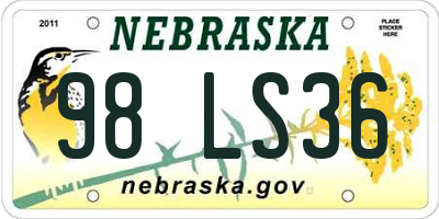 NE license plate 98LS36