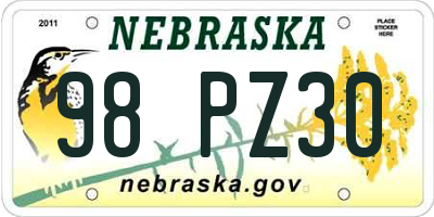 NE license plate 98PZ30