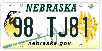 NE license plate 98TJ81