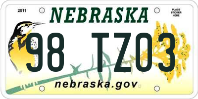 NE license plate 98TZ03