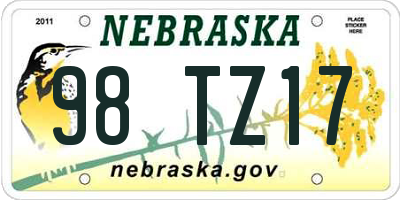 NE license plate 98TZ17